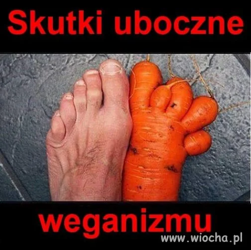 Vegan food = vegan foot