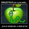 Ah te dziewczyny