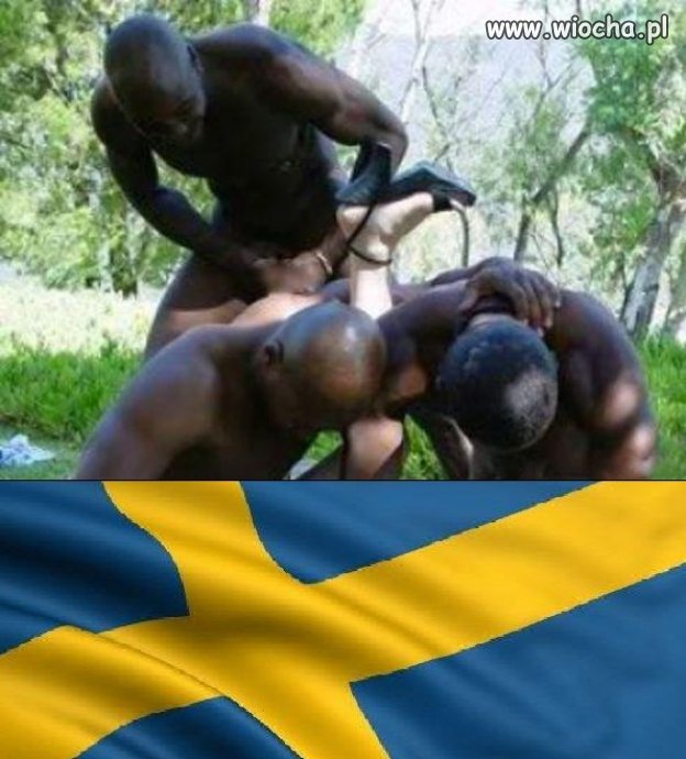 Tolerancja i multikulti w praktyce? 