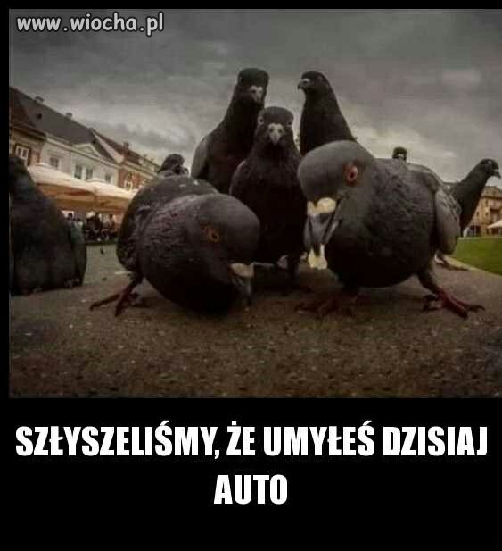 One już czekają 