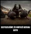 One już czekają 