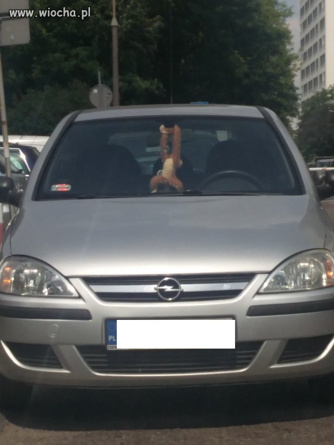 Małpka na przedniej szybie...