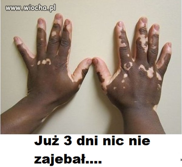 Imigranci 