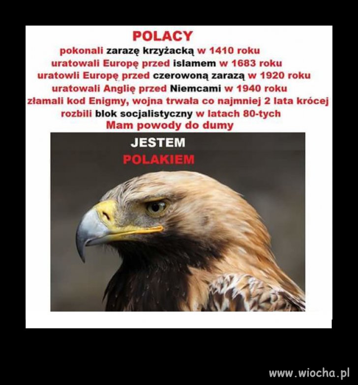 Jestem Polakiem