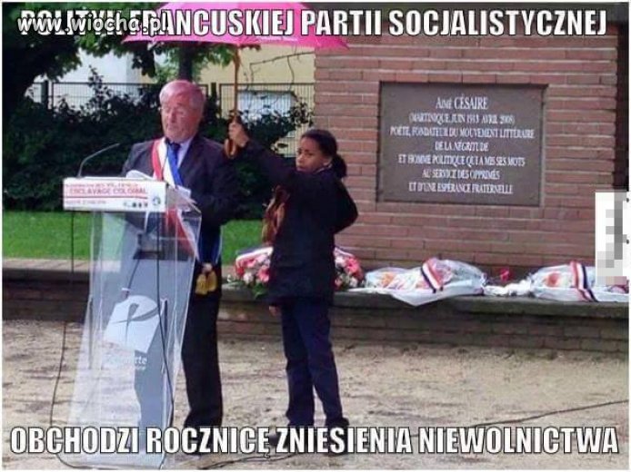 Zna ktoś lewaka z odrobiną "oleju w głowie" ?