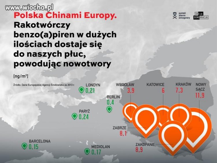 Skutki domowej utylizacji śmieci ?