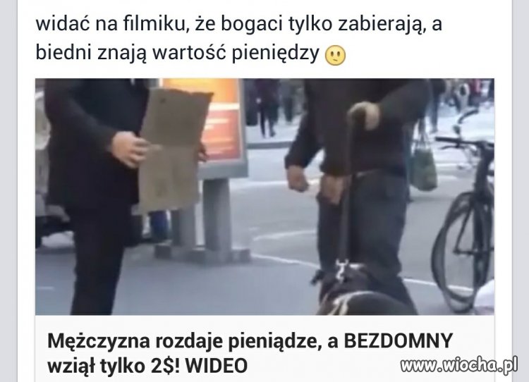 Nienażarte bogate  wieprze darły kasę.