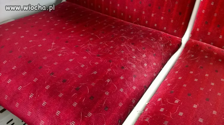 Fotel w pociągu PKP