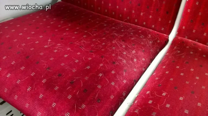 Fotel w pociągu PKP