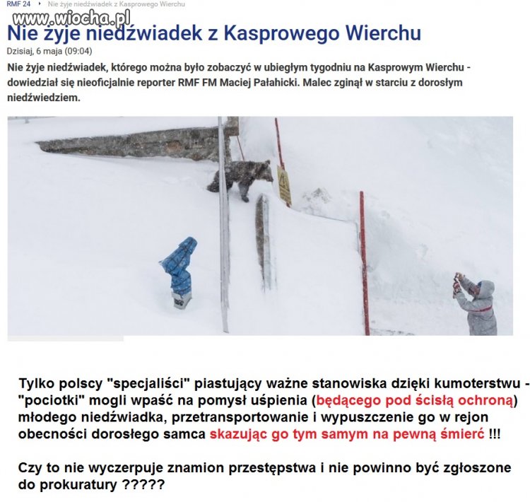"...piastowane stanowisko nie zwalnia od myślenia"