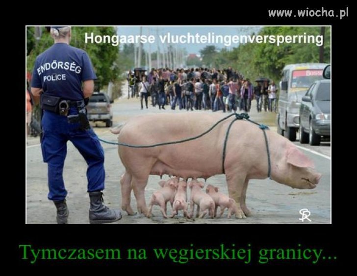 Brawo Węgrzy