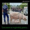 Brawo Węgrzy