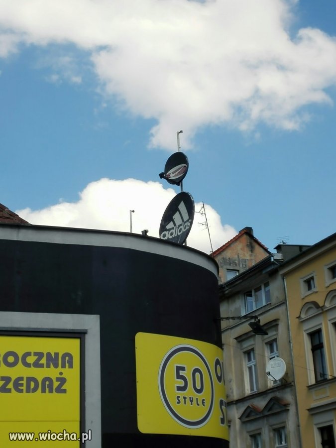Prawilna Zielona Góra