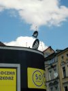 Prawilna Zielona Góra