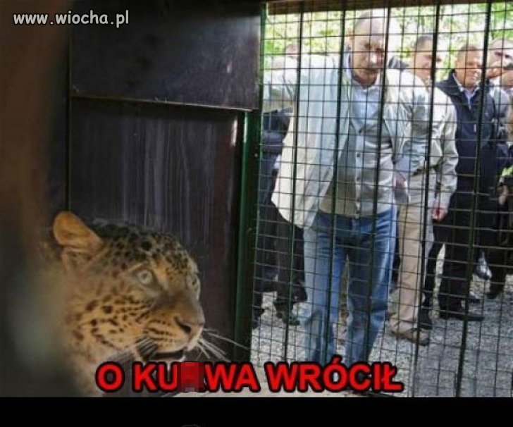 Jest respekt.