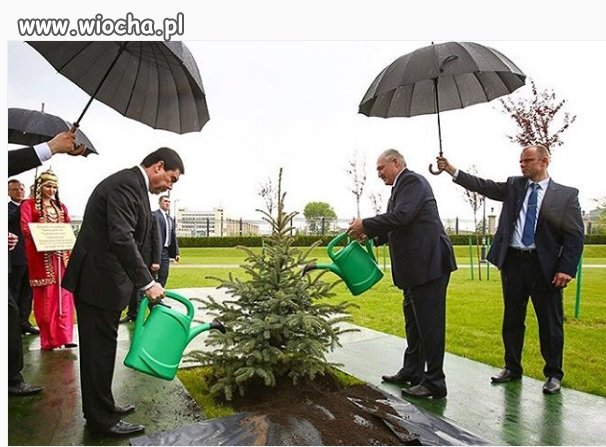 Trzeba mieć fantazję...