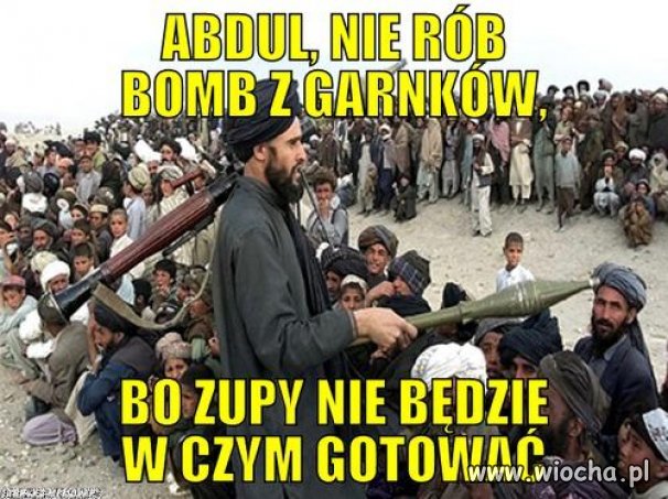 Może z głodu pozdychają?