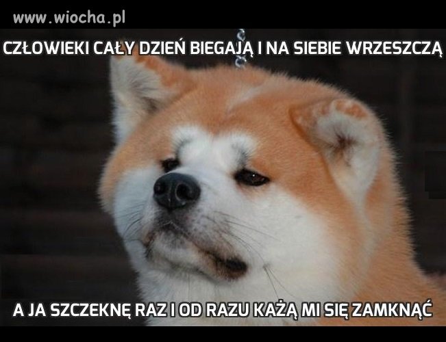 Człowieki