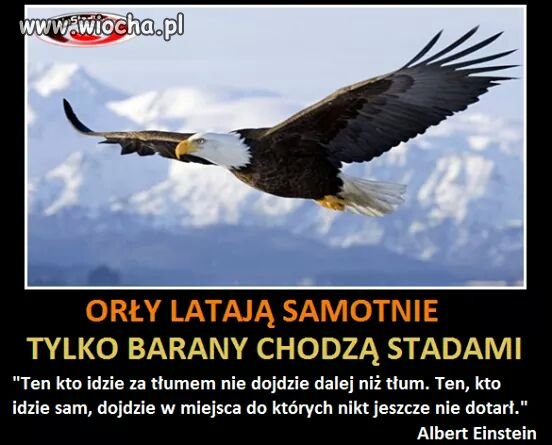 Ale wielu nie potrafi