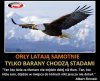 Ale wielu nie potrafi
