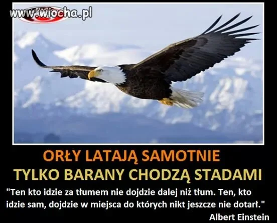 Ale wielu nie potrafi