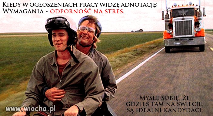 Kiedy przeglądam oferty pracy...