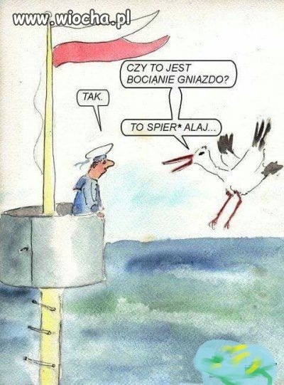 Bocianie gniazdo