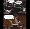 Myszka-agresorka.
