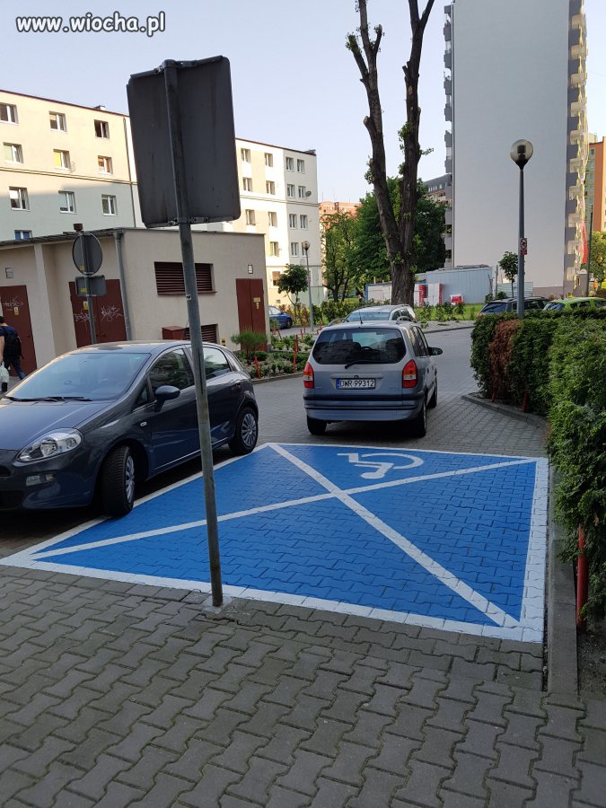 Wiochmen z okolic ( z DenWeR) Wrocławia na zakupac