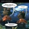Starość nie radość