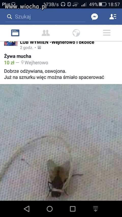Ktoś chce
