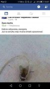 Ktoś chce