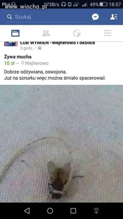 Ktoś chce
