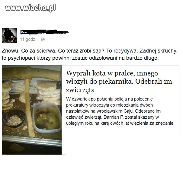 Wyprali kota w pralce.