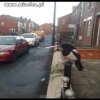 If you think yout area is rough