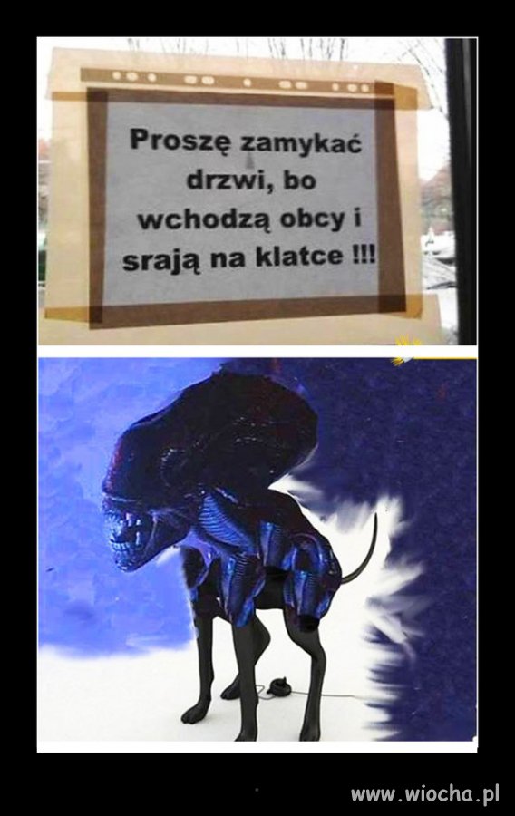 Alien