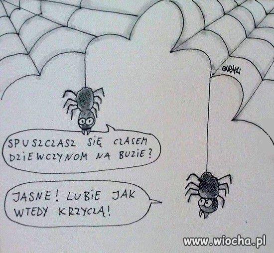 Takie tam rozmowy