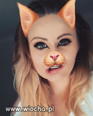 Hybryda XXI wieku