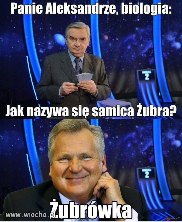 Kwak na dzisiaj