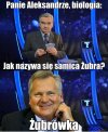 Kwak na dzisiaj