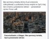 Na tym zdjęciu widać 100% demokrację.