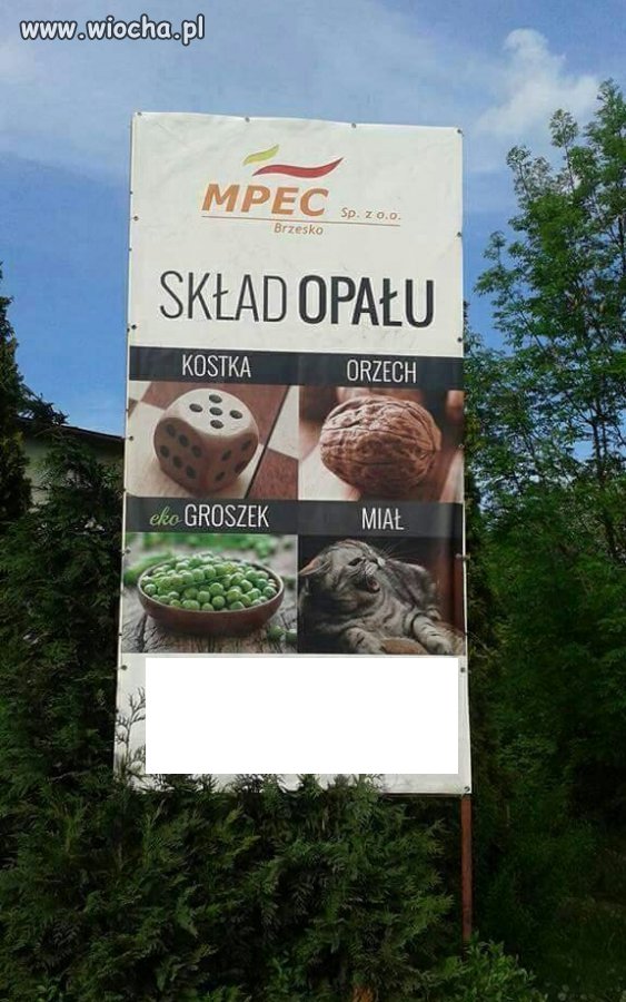 Reklama dźwignią handlu 