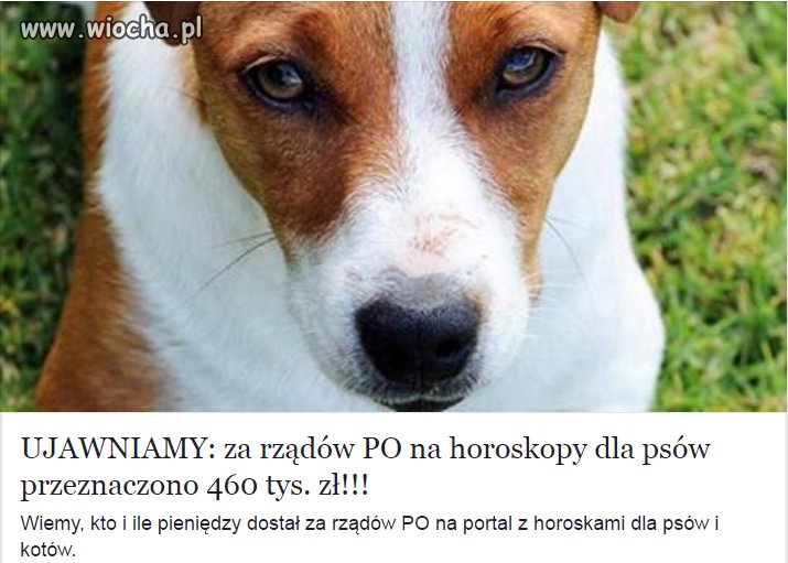 Wpisz w wyszukiwarkę...