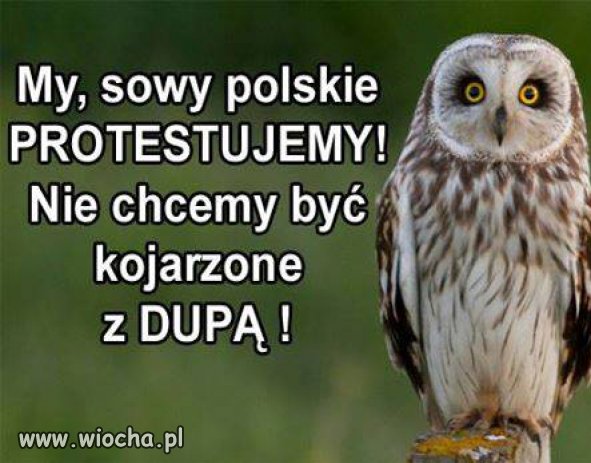 Nikt nie chce