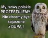 Nikt nie chce