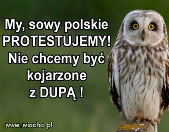 Nikt nie chce
