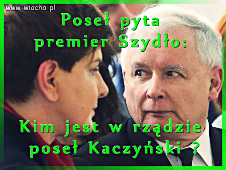 No właśnie kim