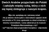 Asymilacja imigrantów w Polsce