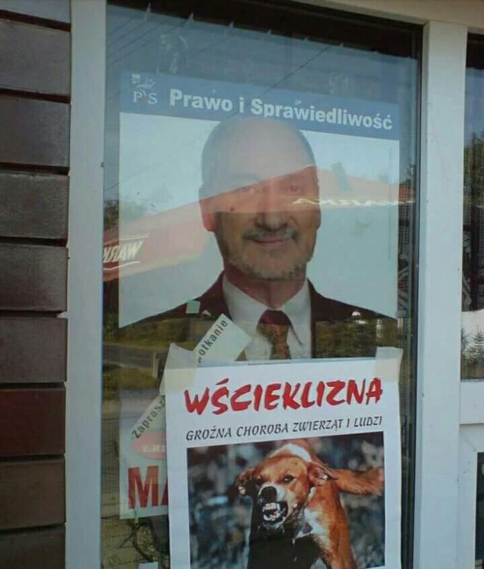 Ministerstwo środowiska ostrzega przed wścieklizną