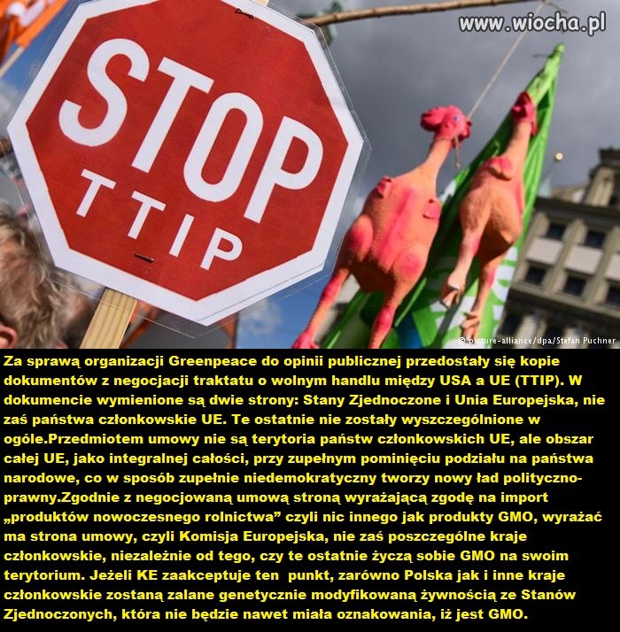 Wyciekły tajne dokumenty z negocjacji TTIP